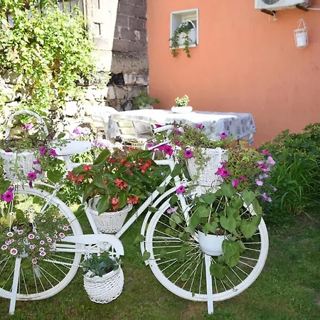 Sleep'n Drive * Bělehrad