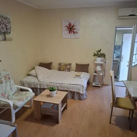 Apartman Sleep'n Drive Belgrade